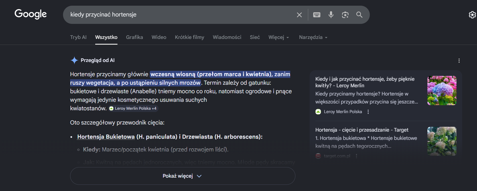 Przykład wyników wyszukiwania Google z sekcją AI Overviews 