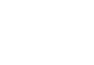 Logo Work4Europe